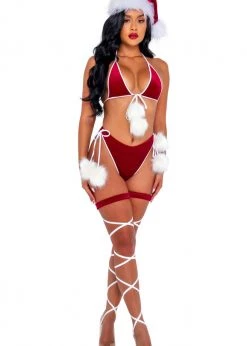 Roma Costume, Inc. C206 - 2pc Santas Holiday Spirit Bikini